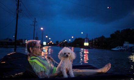 Fotografías de Houston después de la inundación