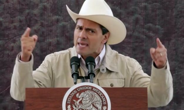 Señalamientos en redes sociales son irritantes: EPN