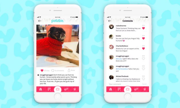 Petzbe, el nuevo Instagram para perros y gatos