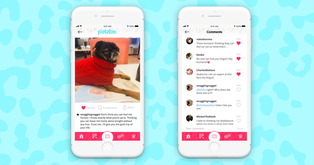 Petzbe, el nuevo Instagram para perros y gatos
