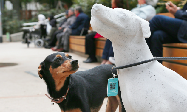 Así promueven la adopción de animales en Barcelona