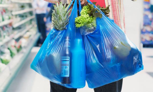 Reducción de bolsas de plástico en Colombia