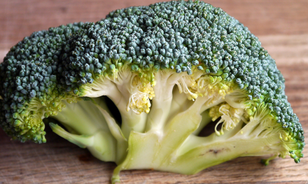 El brócoli es la verdura que te salvará la vida