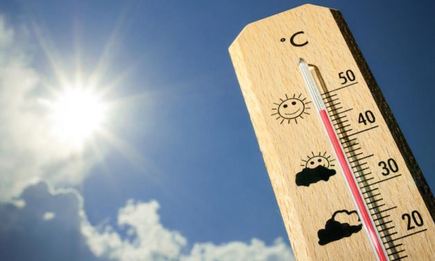 Ola de calor que afecta a varios estados