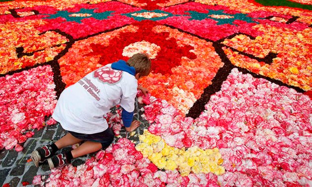 Guanajuato ‘colorea’ con flores plaza histórica de Bélgica