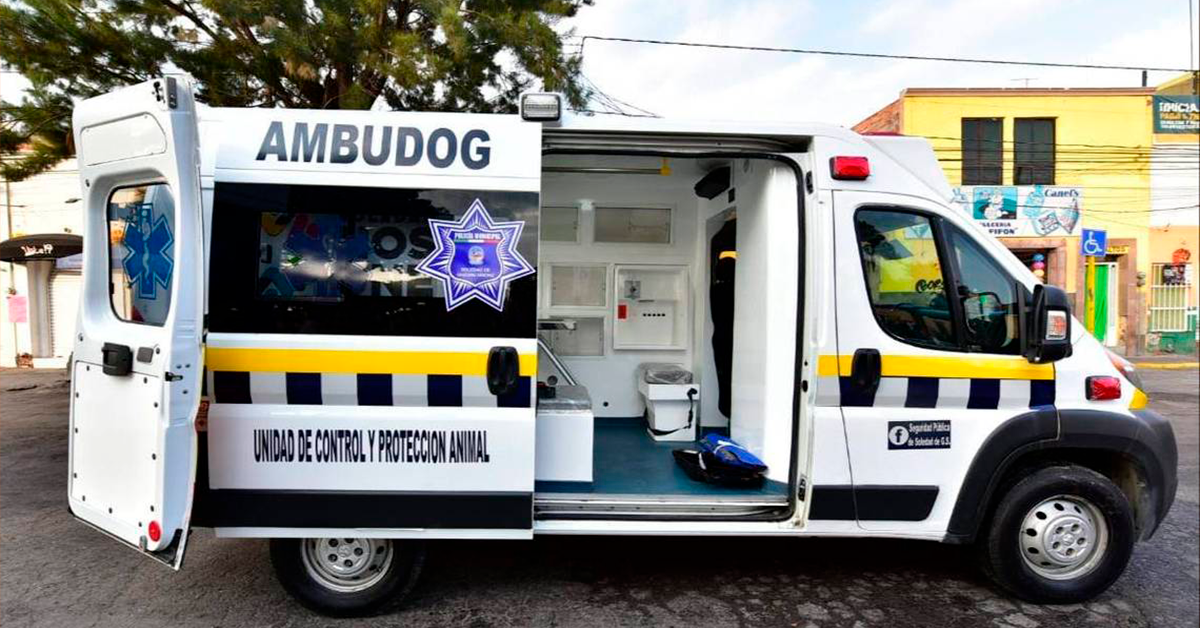 Ambudog, la primera ambulancia gratuita para perros de la calle