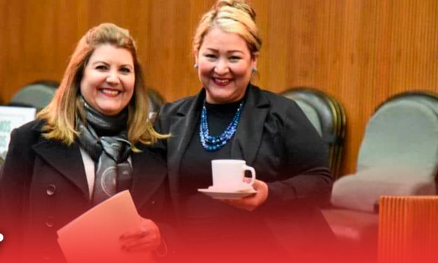 Presenta Morena plan contra acoso escolar