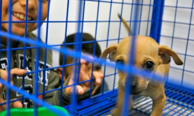 Inaugura San Nicolás Casa de Bienestar Animal