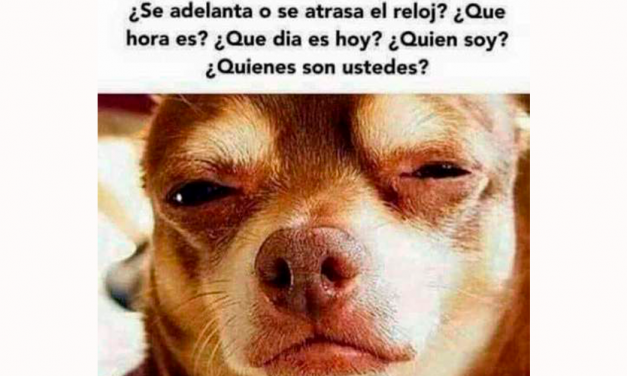¿Y a ustedes cómo les cayó el cambio de horario? Estos son los memes que los usuarios de redes compartieron