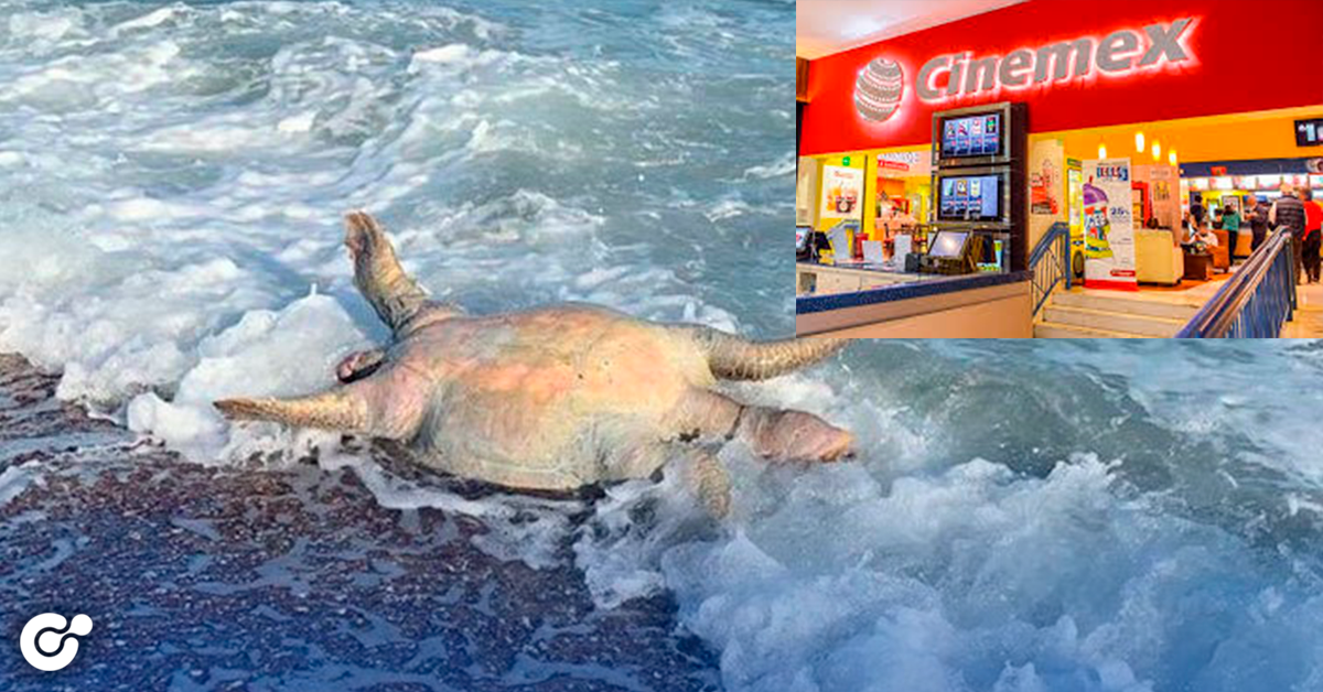 Piden boicotear a Cinemex por derrame de ácido en el mar cortés