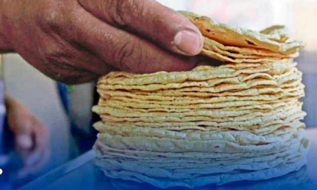 Un Kilo de tortillas puede llegar a costar 60 pesos, en caso de aprobarse la ley