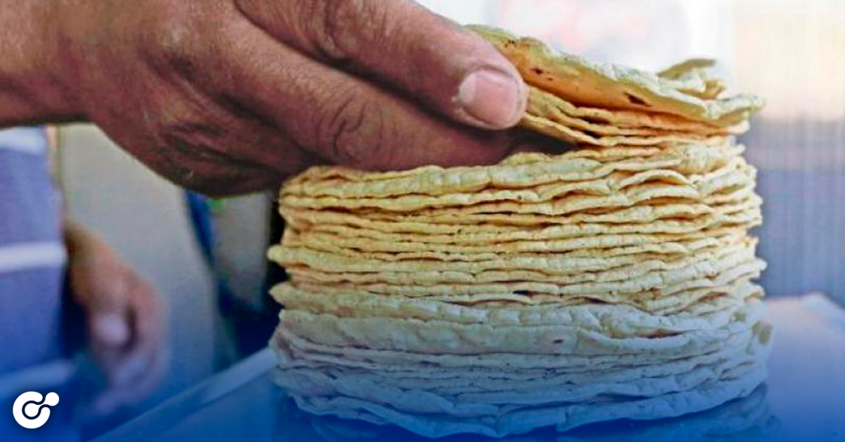 Un Kilo de tortillas puede llegar a costar 60 pesos, en caso de aprobarse la ley