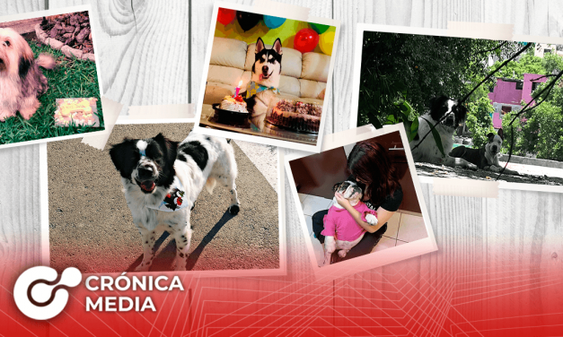 Hoy se celebra el Día Mundial Del Perro