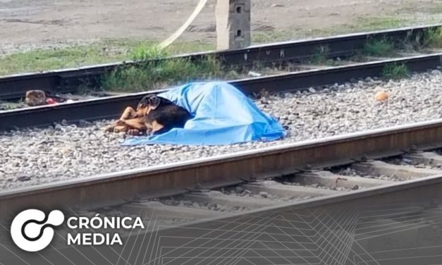 Un hombre fue arrollado por un tren en Nuevo León