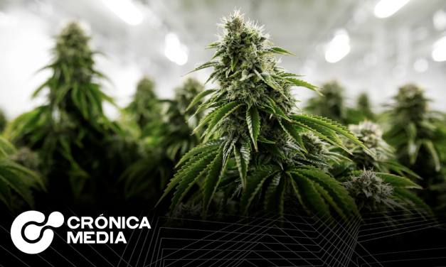 Aprobación de uso lúdico de Cannabis, pasa al pleno.