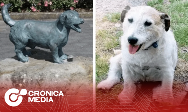 Levantan estatua en homenaje a perrito que salvó a niños del ataque de un pitbull.