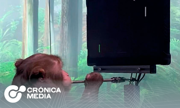 Un mono juega con la mente un videojuego gracias a Neurolink