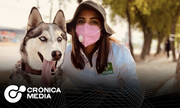 Ivonne Bustos creará hospital veterinario público en Santa Catarina