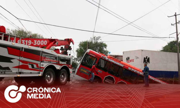 Las fuertes lluvias causaron estragos en diferentes puntos de la ciudad